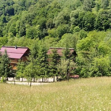 Pensiunea Simina Viseu de Jos Exteriér fotografie