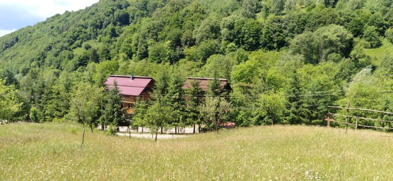 Pensiunea Simina Viseu de Jos Exteriér fotografie