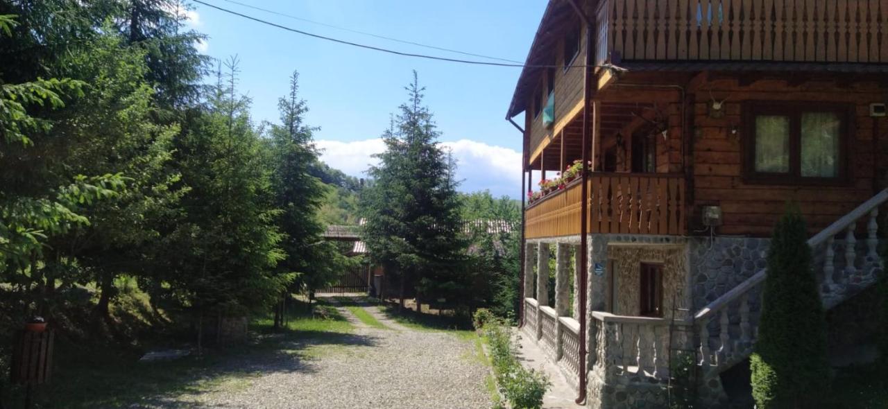 Pensiunea Simina Viseu de Jos Exteriér fotografie