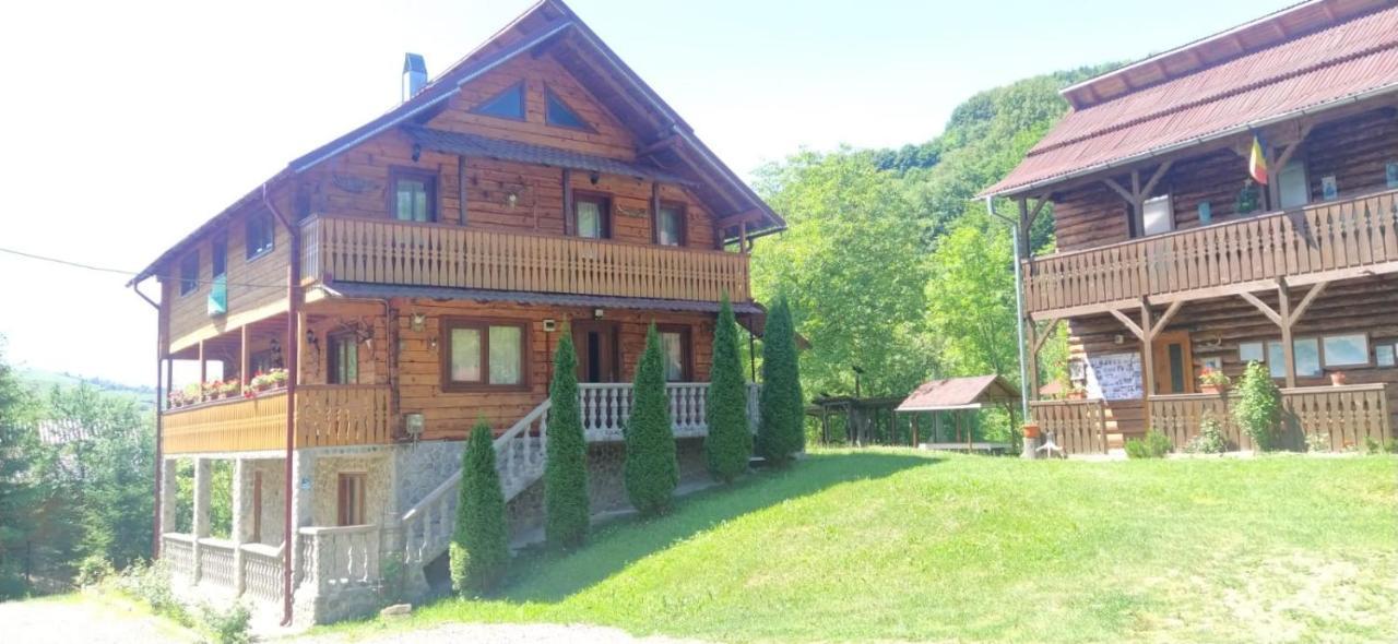 Pensiunea Simina Viseu de Jos Exteriér fotografie