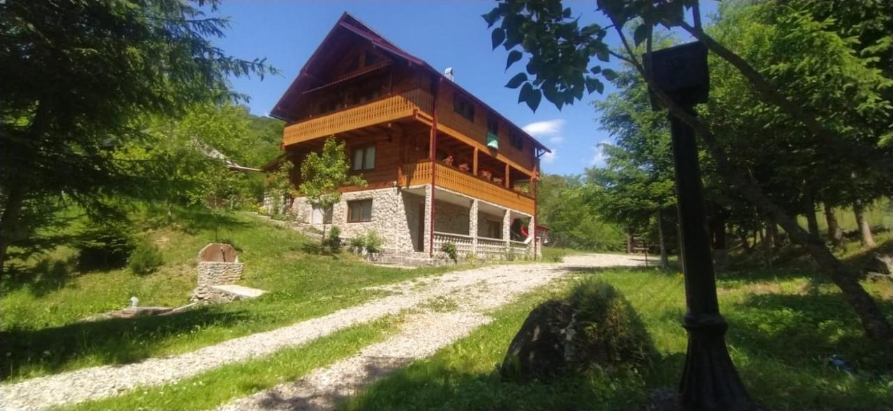 Pensiunea Simina Viseu de Jos Exteriér fotografie