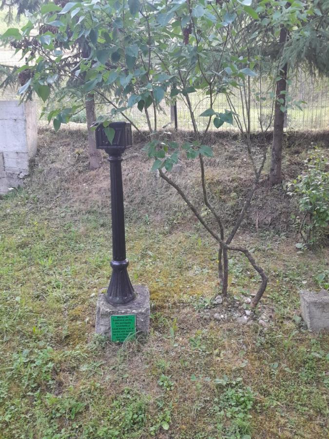 Pensiunea Simina Viseu de Jos Exteriér fotografie
